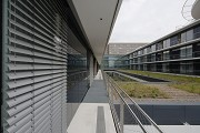ZOM II: façade-loggia of ward-level