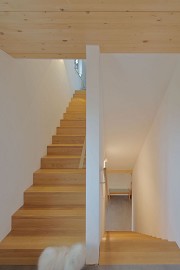 Staircase with dog, semi-detached house, Eschweiler-Dürwiss, D