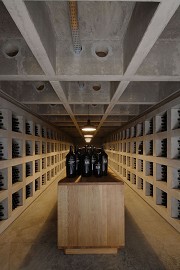 Vine-archive, Schneider vinery, Ellerstadt, D
