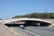 A3-Grünbrücke Gräfenneuses: Ostansicht, Bild 2