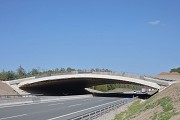 A3-Grünbrücke Gräfenneuses: Nordostansicht, Bild 1