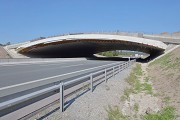 A3-Grünbrücke Gräfenneuses: Nordostansicht, Bild 2