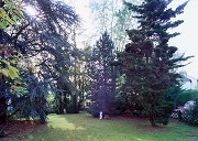 Mein Elternhaus: Gartenblick nach Süden