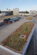 New railway town Opladen: green ZOB roofs