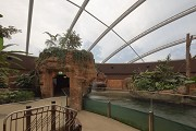 Rhino Pagoda, Berlin: indoor enclosure with water basin